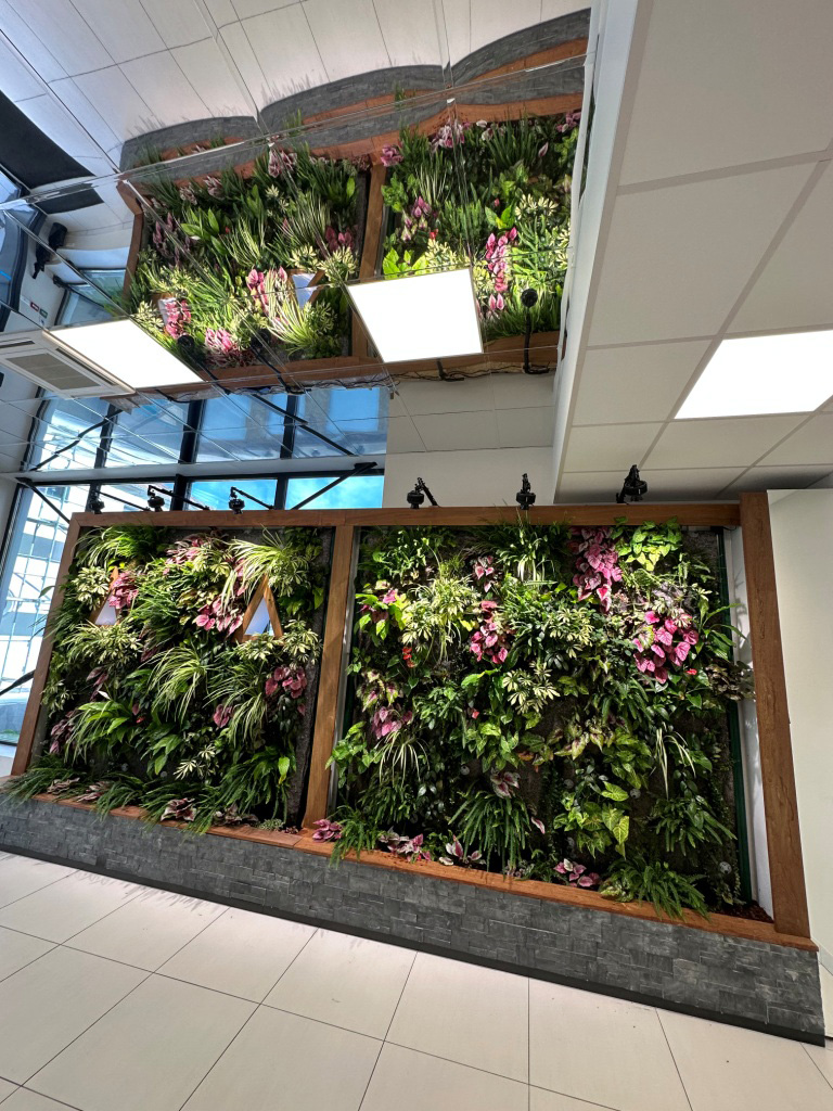 Image 3 D