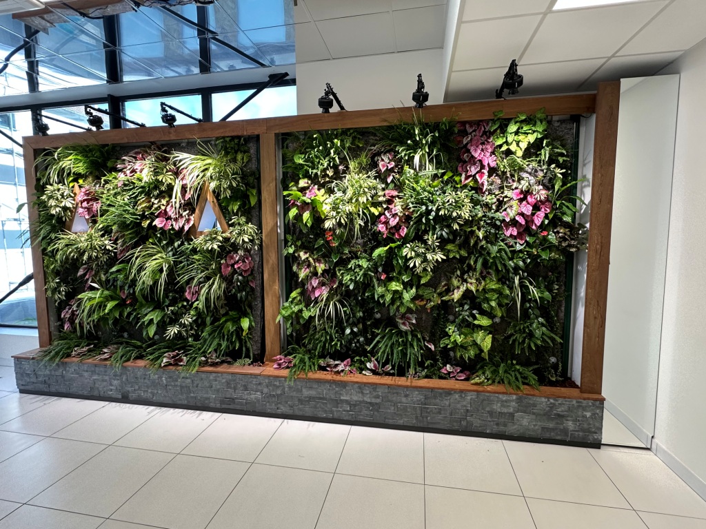 Image 3 D