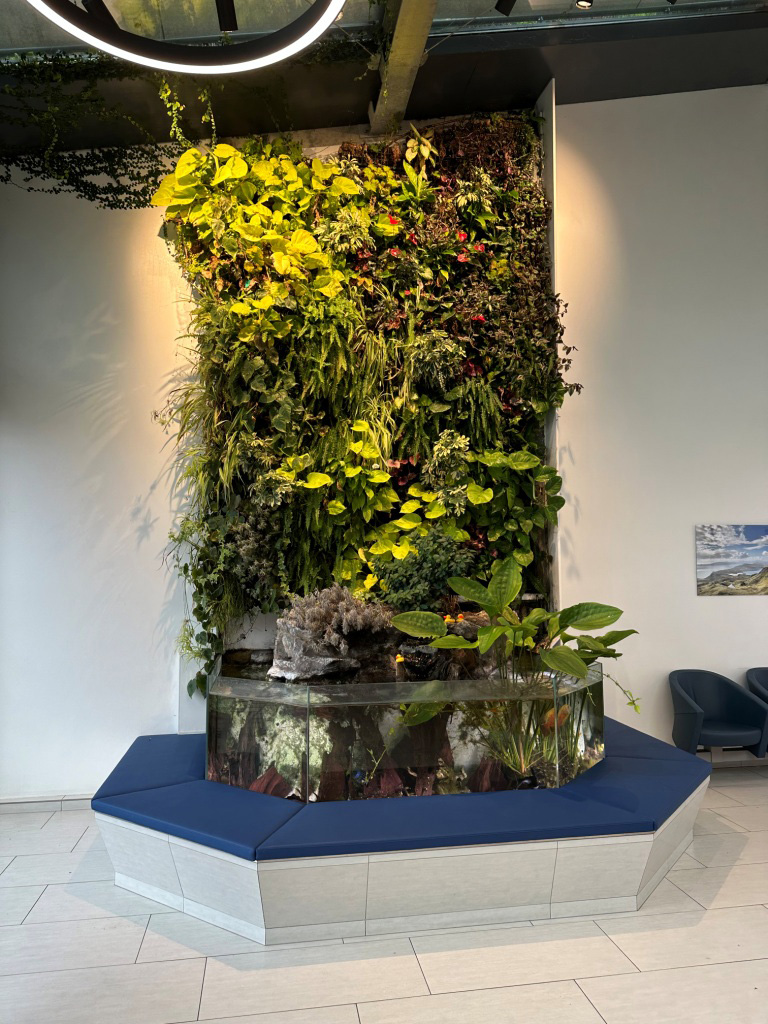 Image 3 D